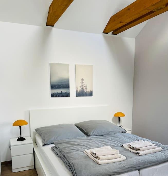 Traumvilla Im Herzen Hainichens Екстериор снимка